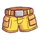 Explorer's Shorts